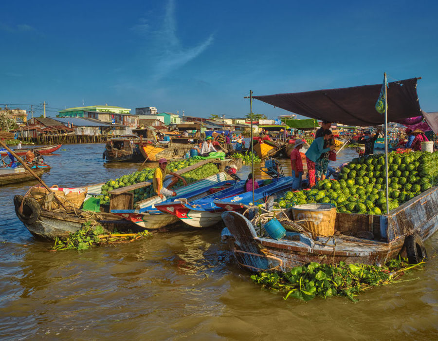 AZCT Cai Rang Floating Market Watermelon Selection